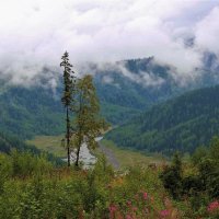 Поднимается туман к облакам :: Сергей Чиняев 