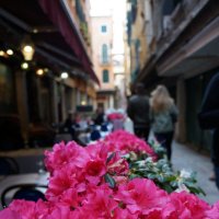 Воспоминания о  Венеции ... :: Алёна Савина