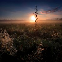 Лето,рассвет,туман... :: Андрей Войцехов