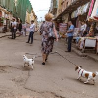 Дама с собачками :: Майя Жинкина