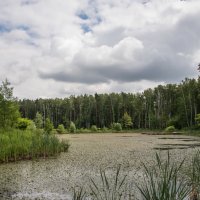 Мещера. :: Владимир Безбородов