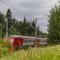 Дорога в лето :: Людмила Волдыкова