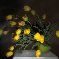 Жёлтые тюльпаны........... :: Olenka 