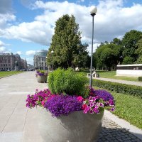 Городской украшение на Пионерской пл. в Петербурге. :: Светлана Калмыкова