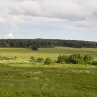 Зеленое поле :: Алексей Екимовских