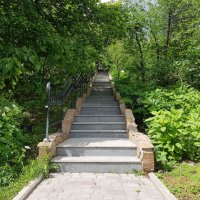 лестница в парке :: Владимир 