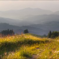 В летней дымке .. :: Влад Соколовский