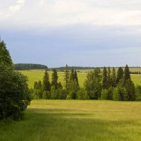 Редкий строй :: Алексей Екимовских