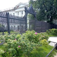 Интересная решетка в саду Сан-Галли. :: Светлана Калмыкова