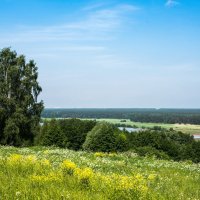 Берега Оки. :: Владимир Безбородов