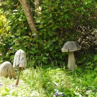 Садовые "грибы" :: Natalia Harries