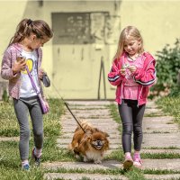 Дети с собачкой  Из серии ,, А у нас во дворе...,, :: Ринат Валиев