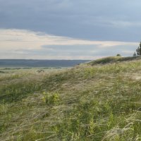 Кунгурская лесостепь.Ковыльный луг :: Алексей Сметкин