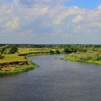 Река Ипуть. :: Сергей 