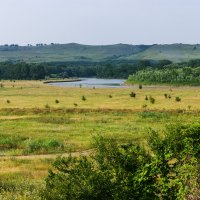 Кубань :: Игорь Сикорский