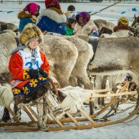 Перед заездом. :: Георгий Кулаковский