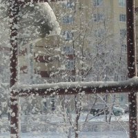 снег :: Ольга А