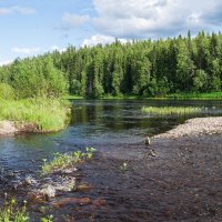 Небольшой перекат на таёжной реке, окрестности Ухты. :: Николай Зиновьев