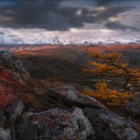 На семи ветрах... :: Влад Соколовский