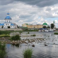 Птичий базар.Чебоксары :: Ната Волга