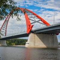 Бугринский мост :: Владимир Габов