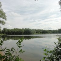 На озере :: марина ковшова 