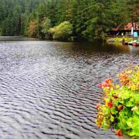 Это черное озеро черное,под водою скрывает неясное.... :: Гала 