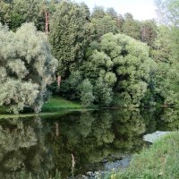 Река Десна в Дубровицах :: Ирина Беркут