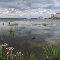 Волга, июль :: Ната Волга