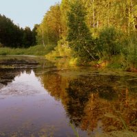 Вечерние отражения . :: Мила Бовкун