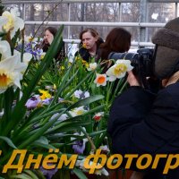 Поздравляю вас с Днём фотографа, друзья! :: Ольга Русанова (olg-rusanowa2010)