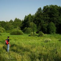 Сегодня пусть будет солнечно хотя бы на фотографиях! :: Андрей Лукьянов