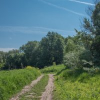 По берегу Оки. :: Владимир Безбородов