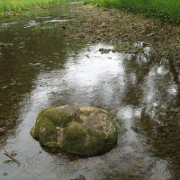 Камень на реке :: Сергей Сунгуров