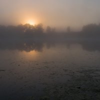 Июльское утро на реке Дубне. :: Виктор Евстратов