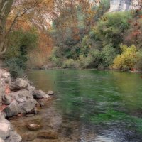 Река Сорг в Провансе. :: Elena Ророva