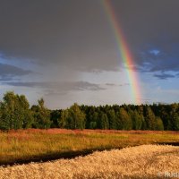 Радуга над Шушпанью :: Сергей 