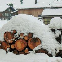 Зима в бргенцском лесу :: Милана Гиличенски 