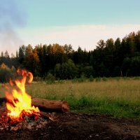 Есть в пламени костра загадка... :: Нэля Лысенко