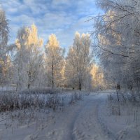 По зимней дороге :: Cергей Кочнев