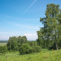 Берега Оки. :: Владимир Безбородов