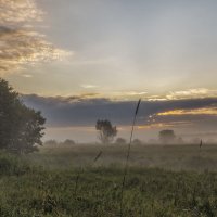 Туманное утро :: Сергей Цветков