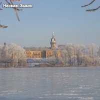 Несвижский замок зимой :: Ирина Шурлапова