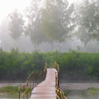 Утренний туман на реке :: Павел Айдаров