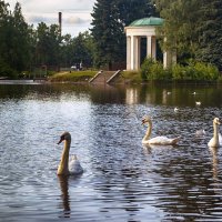 Парк Победы Питер :: Анжела Пасечник