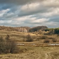 унылая пора :: юрий иванов