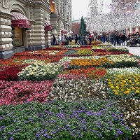 Фестиваль цветов в ГУМе 2019. :: Татьяна Помогалова