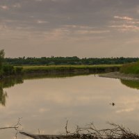 Кубань :: Игорь Сикорский