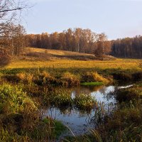 Октябрь уж наступил... :: Инна Щелокова