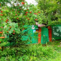 Улица Папанина. :: Татьяна Помогалова